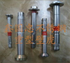 瑞安振武供應(yīng)優(yōu)質(zhì)不銹鋼加長膨脹螺絲，為建筑材料注入持久穩(wěn)固力量